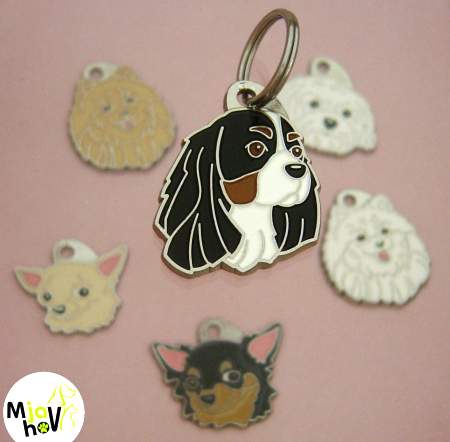 Dog name tag Cavalier king Charles spaniel.